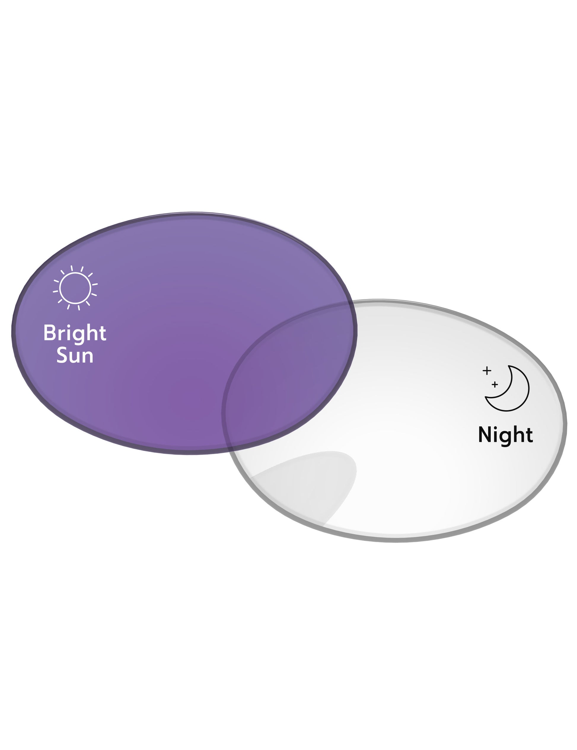 Adapt Purple Photochromic-Standard