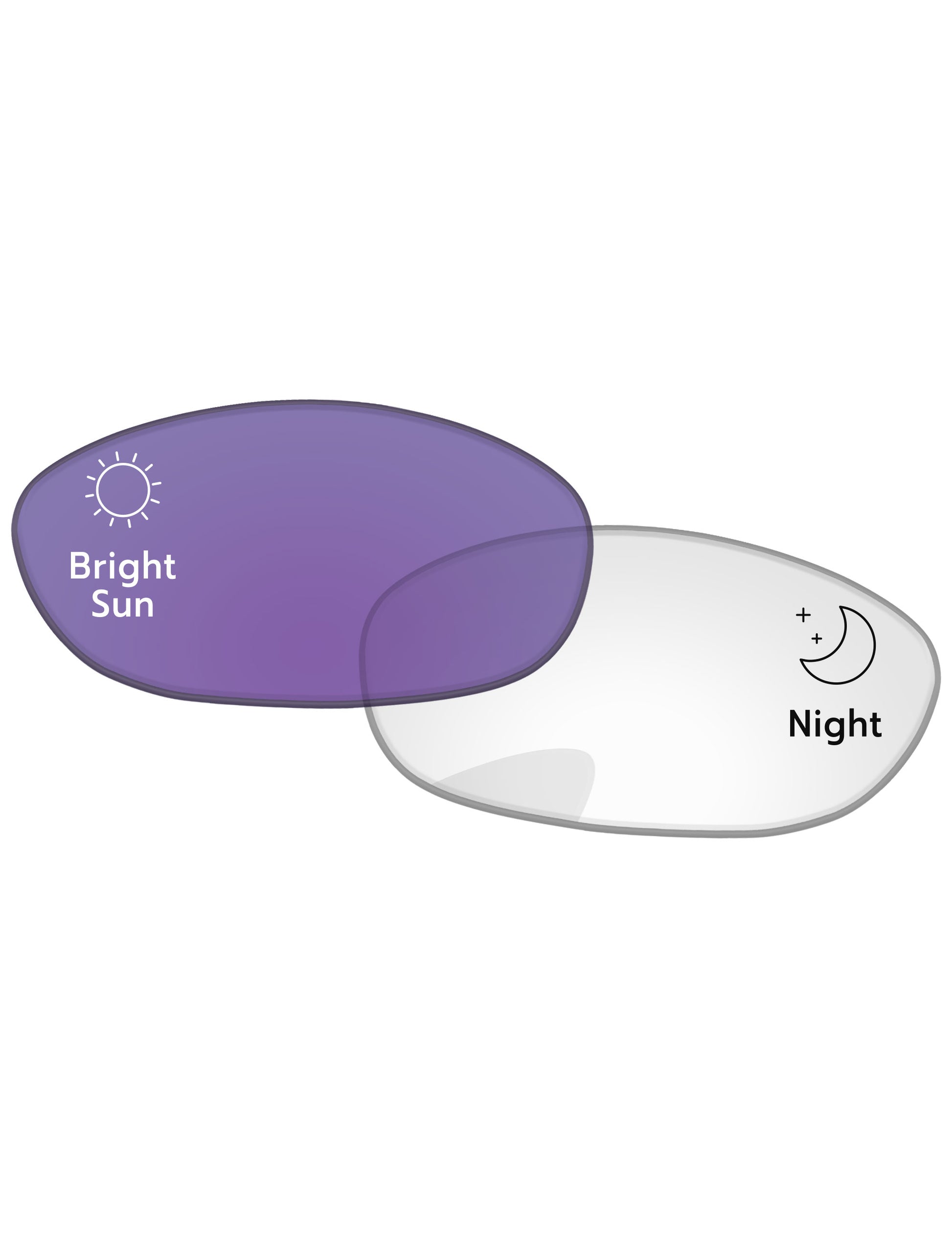 Adapt Purple Photochromic-Standard