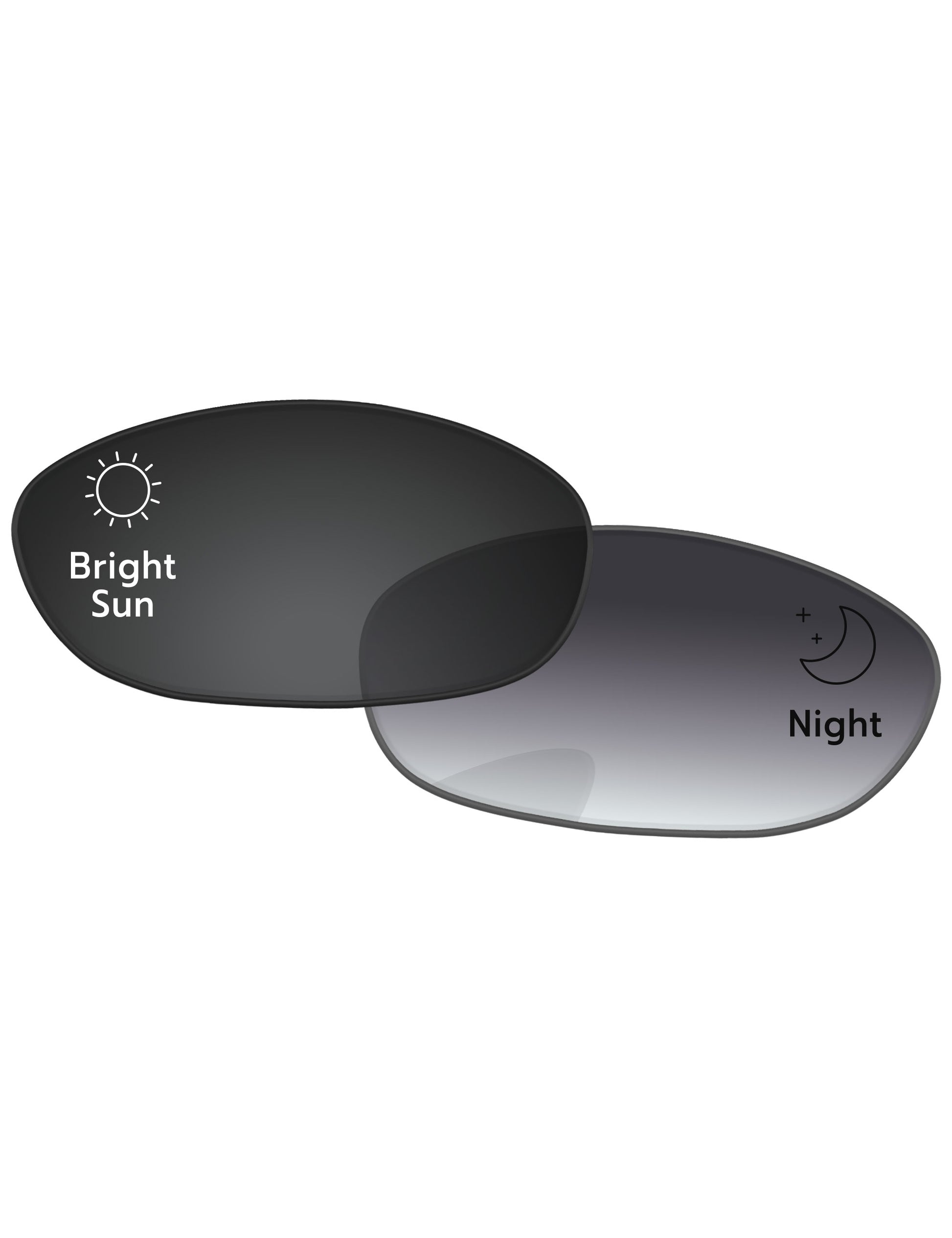 Gray Gradient Photochromic-Standard