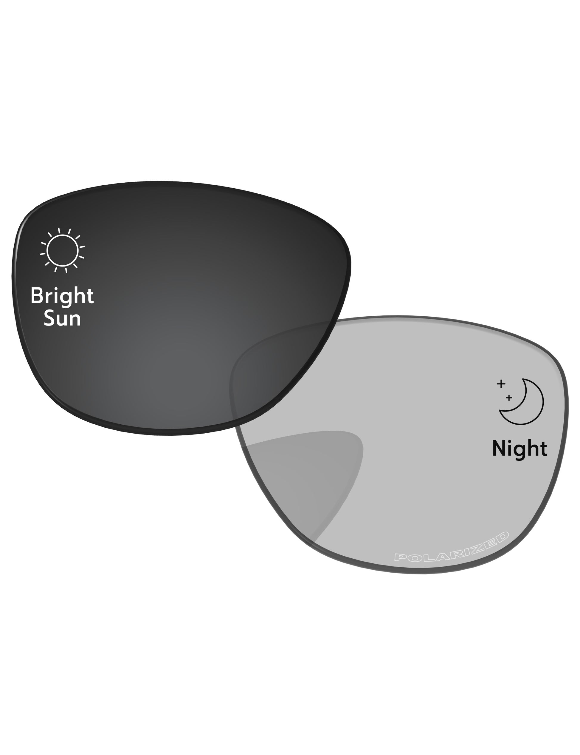 Gray Photochromic-Pro