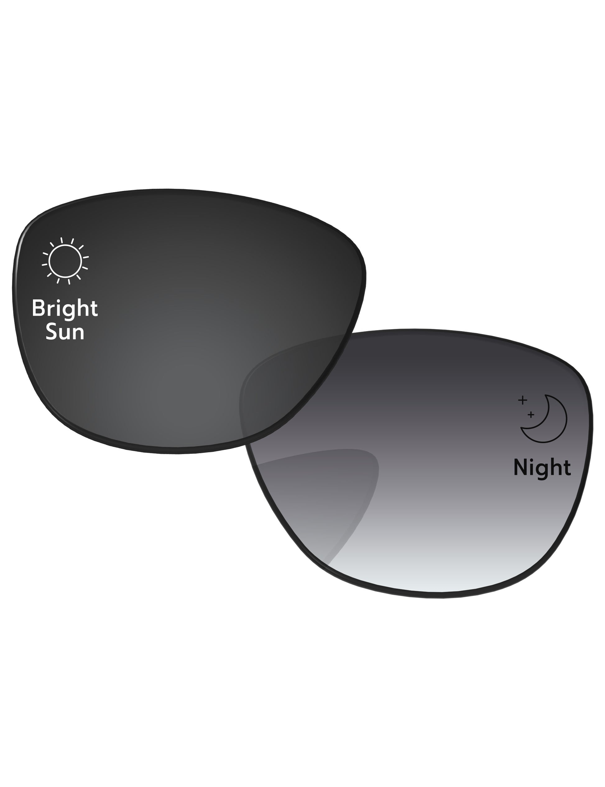 Gray Gradient Photochromic-Standard