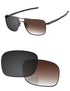 Brown Gradient Gray Photochromic-Standard