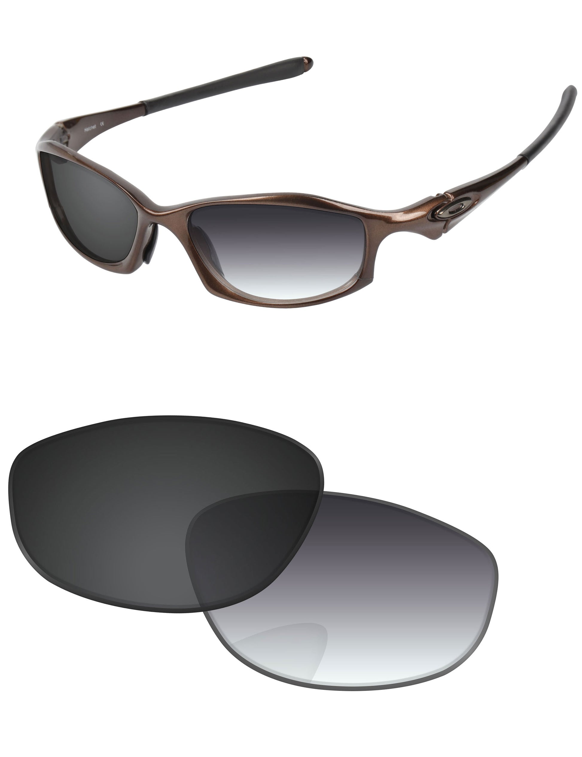 Gray Gradient Photochromic-Standard