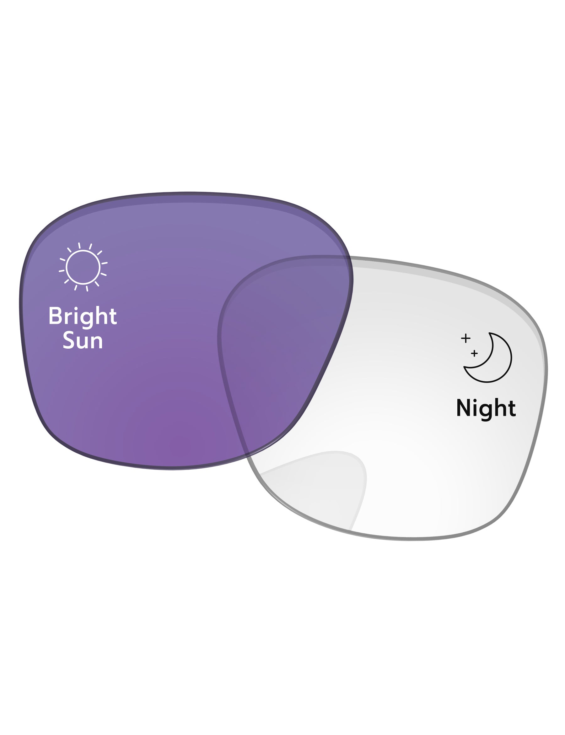 Adapt Purple Photochromic-Standard