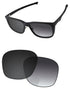 Gray Gradient Photochromic-Standard