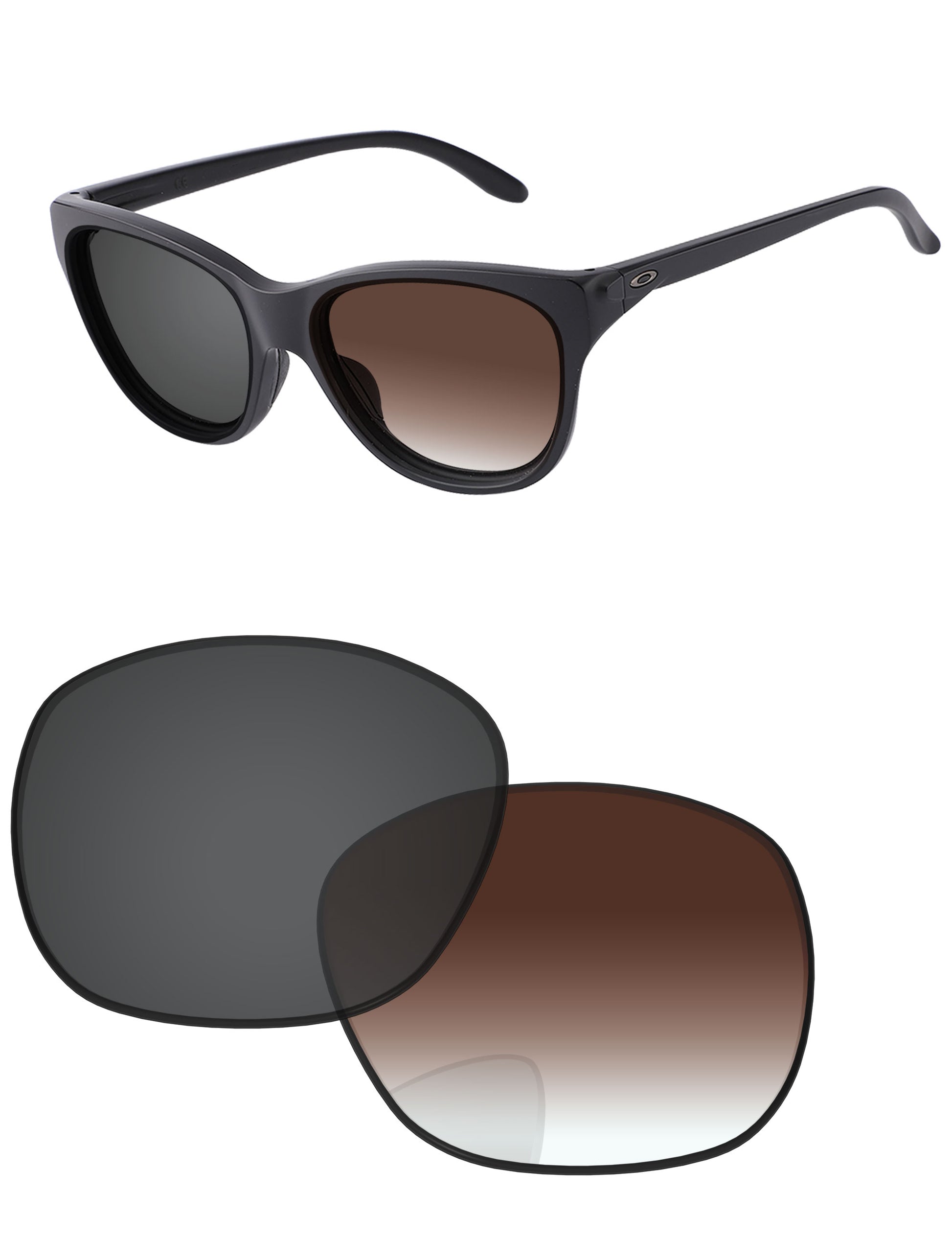 Brown Gradient Gray Photochromic-Standard