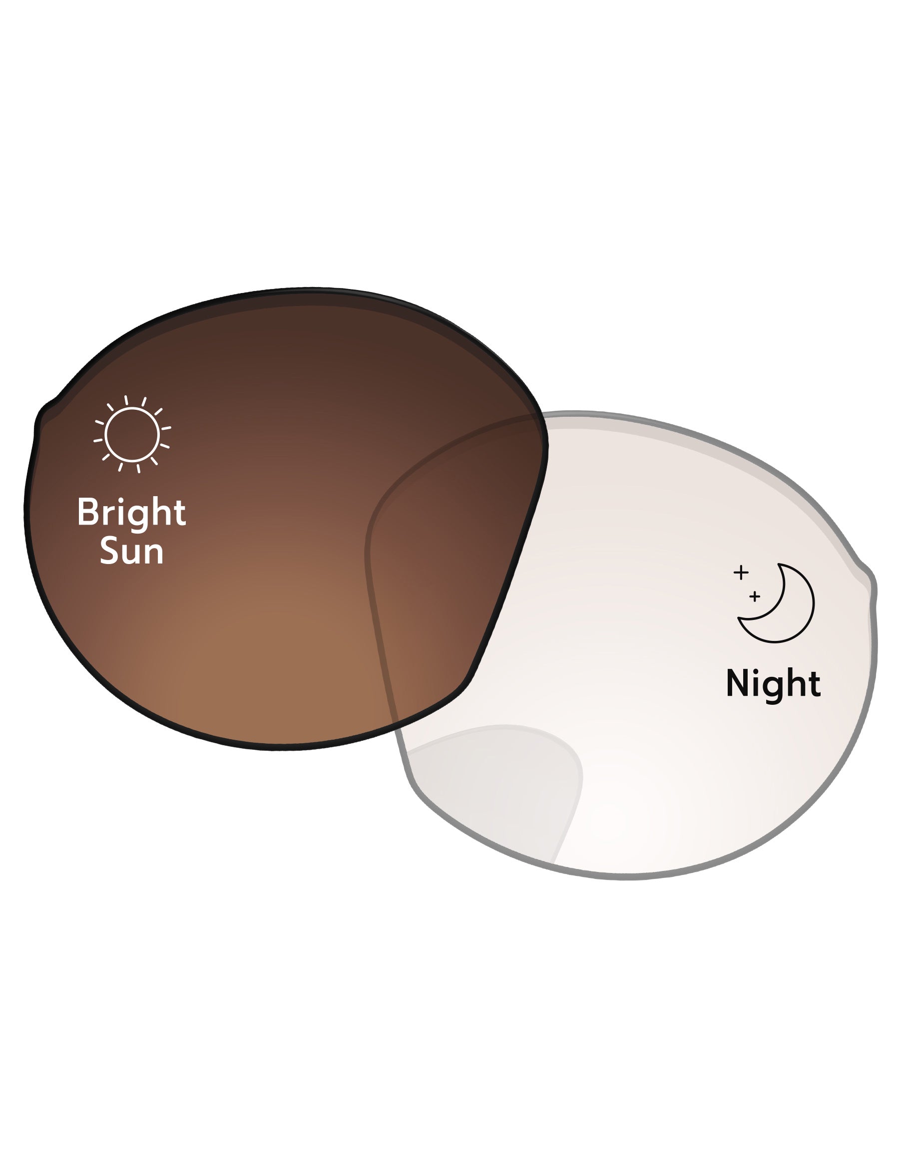Adapt Brown Photochromic-Pro+