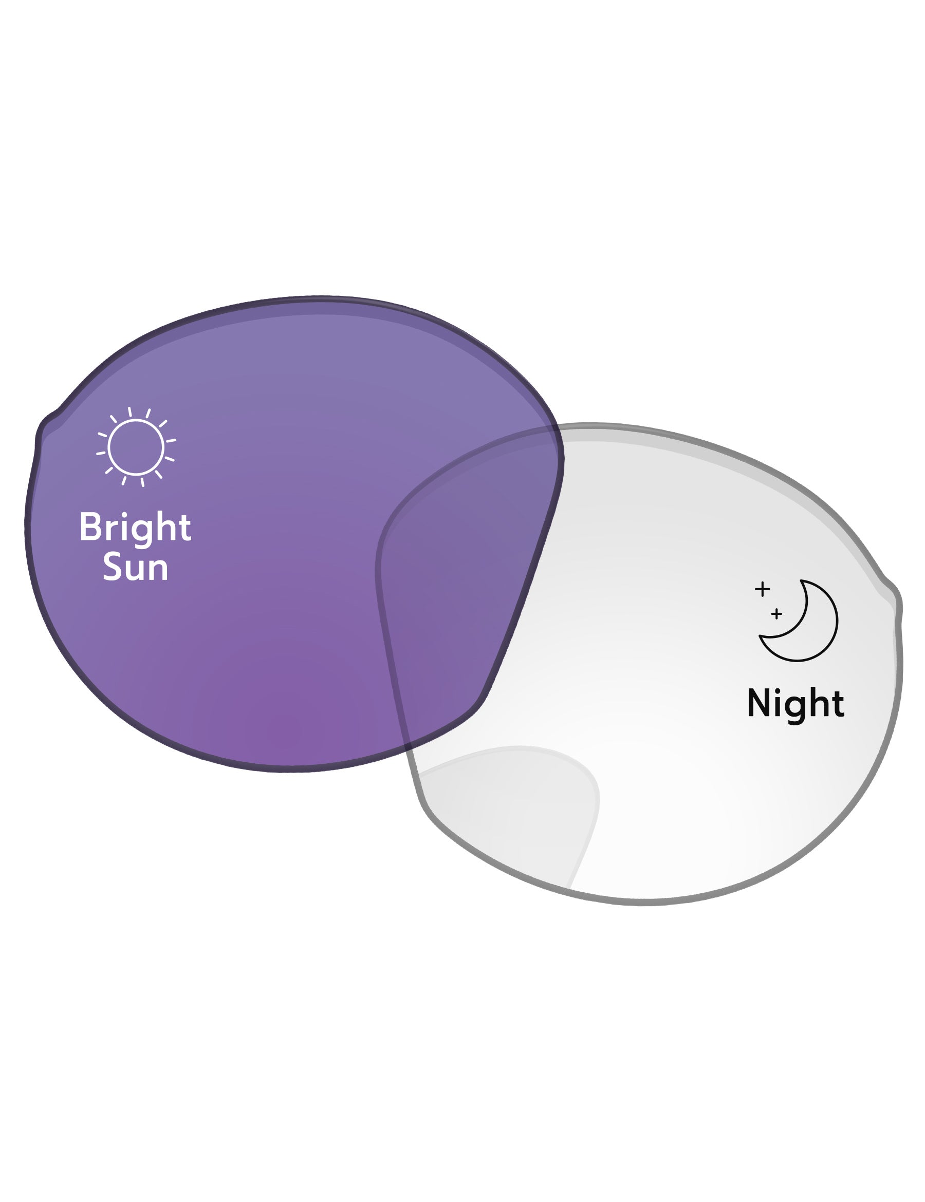 Adapt Purple Photochromic-Standard