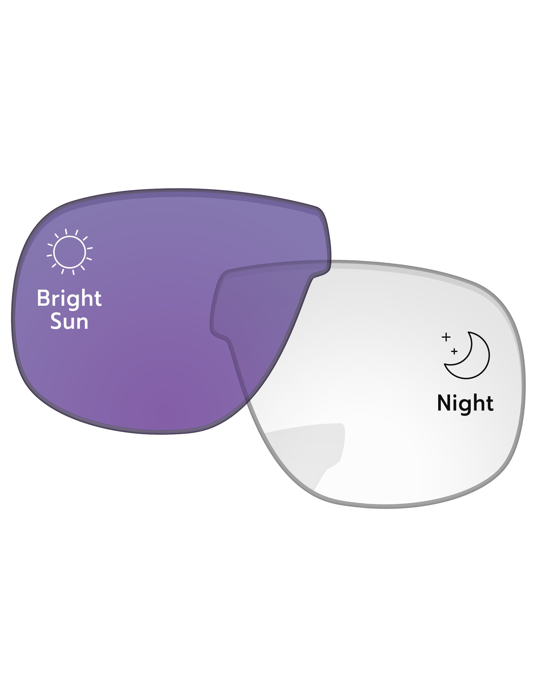 Adapt Purple Photochromic-Standard