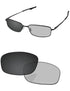 Gray Photochromic-Pro