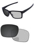 Gray Photochromic-Pro