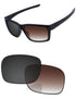 Brown Gradient Gray Photochromic-Standard