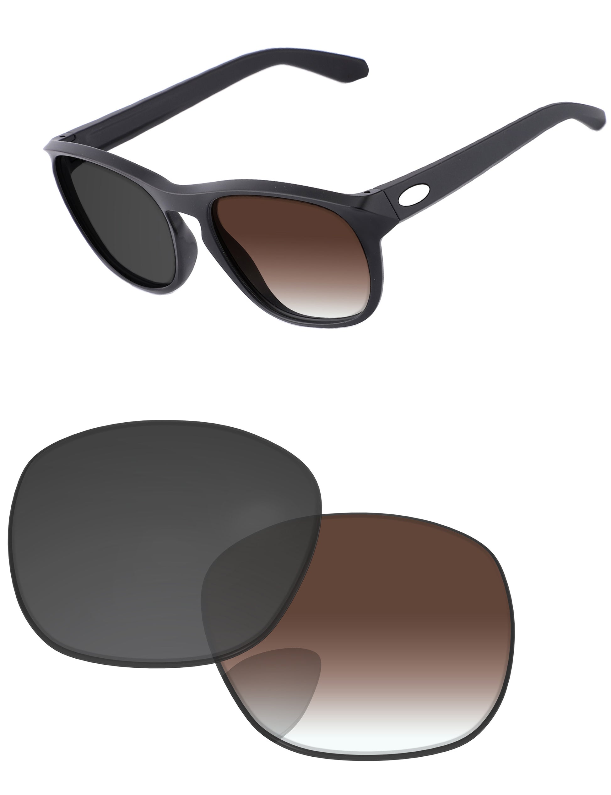 Brown Gradient Gray Photochromic-Standard