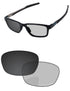Gray Photochromic-Pro