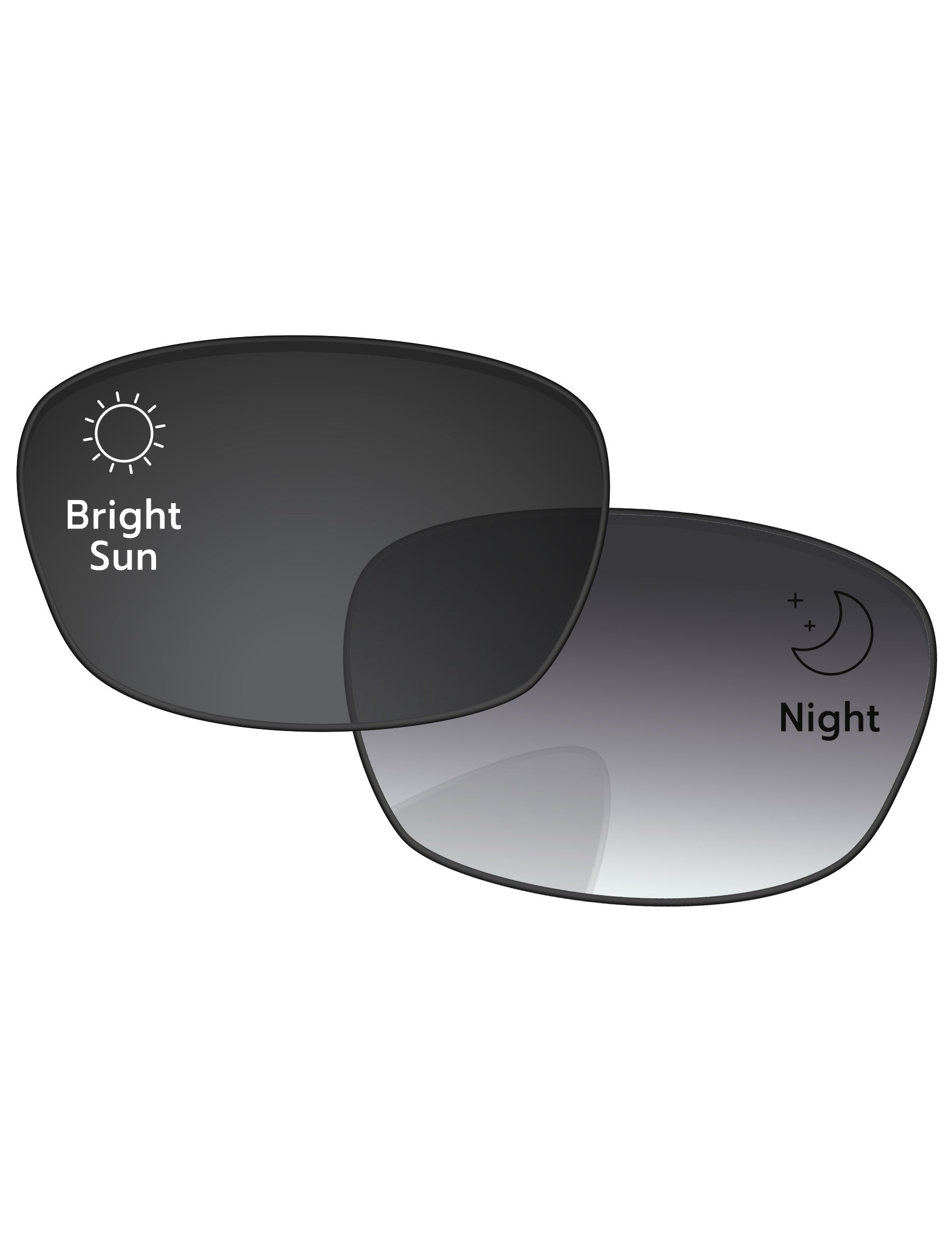 Gray Gradient Photochromic-Standard