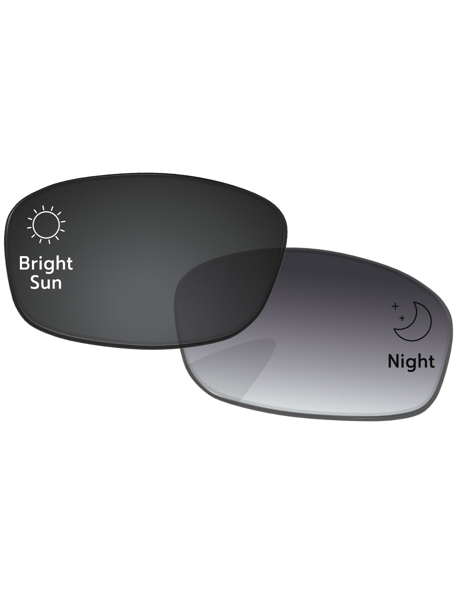 Gray Gradient Photochromic-Standard