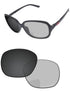 Gray Photochromic-Pro