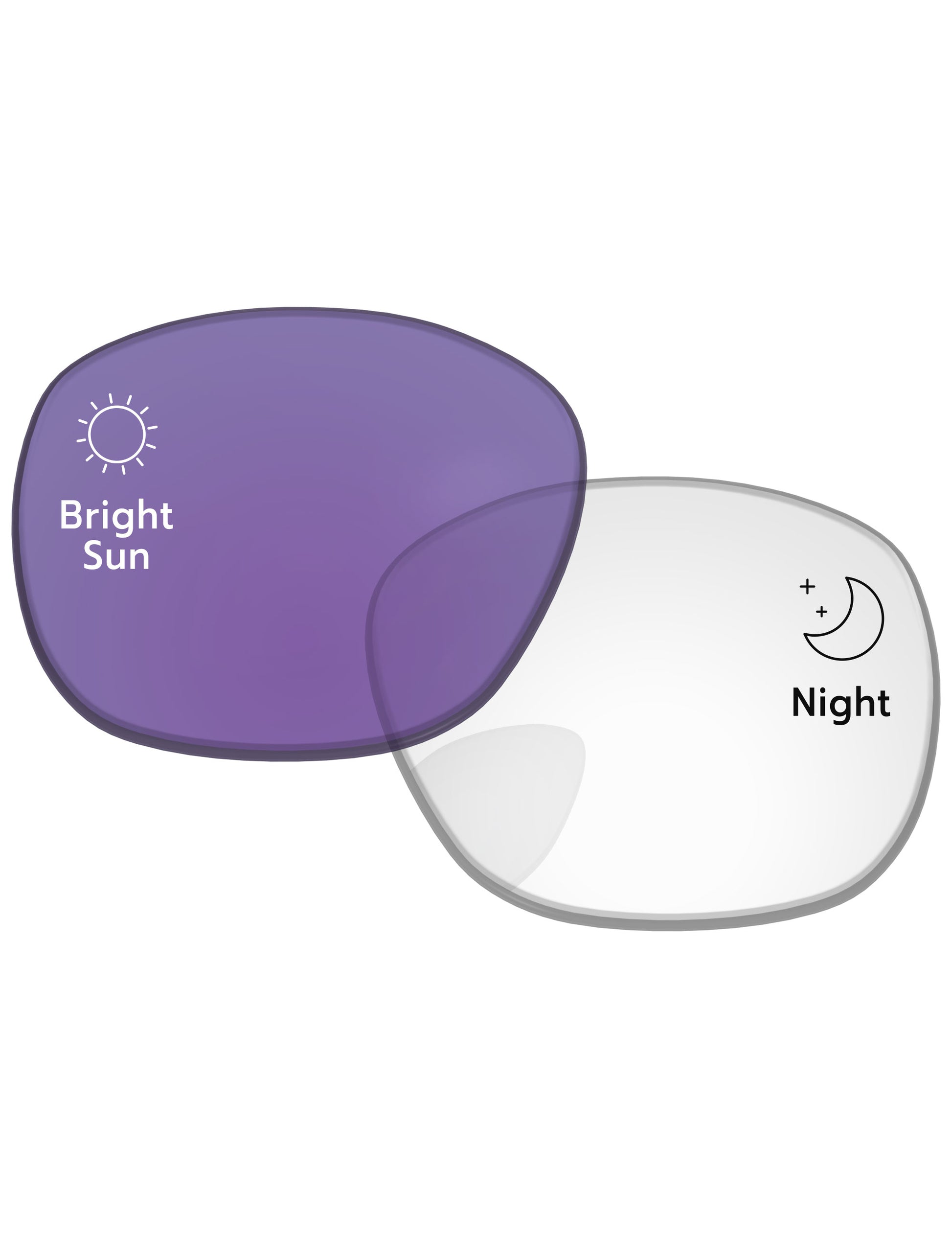 Adapt Purple Photochromic-Standard