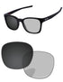 Gray Photochromic-Pro