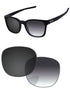 Gray Gradient Photochromic-Standard