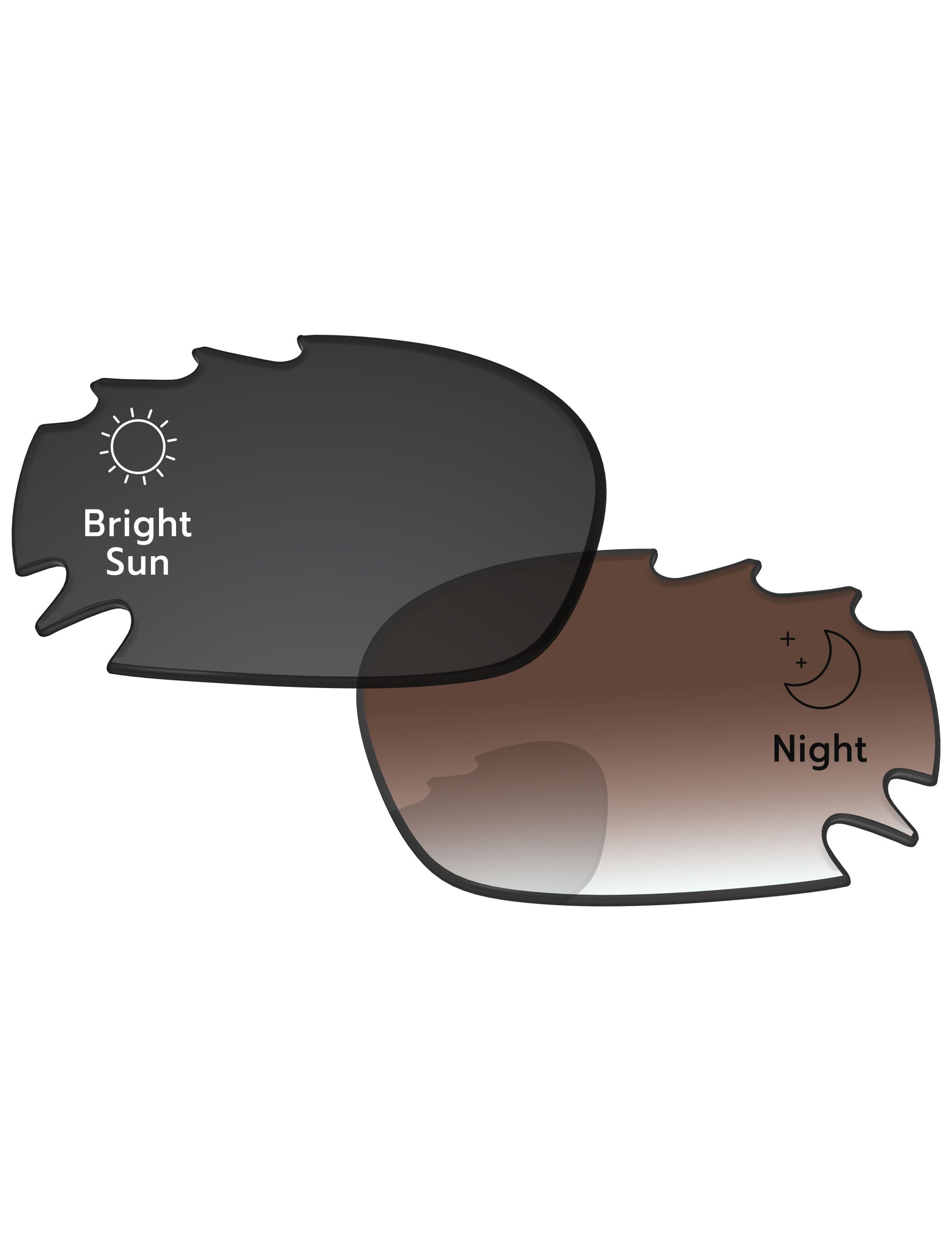Brown Gradient Gray Photochromic-Standard