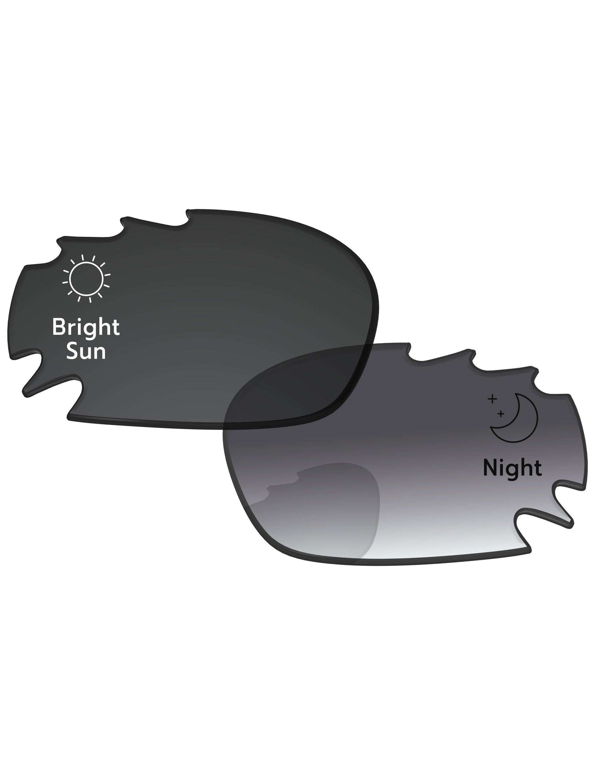 Gray Gradient Photochromic-Standard
