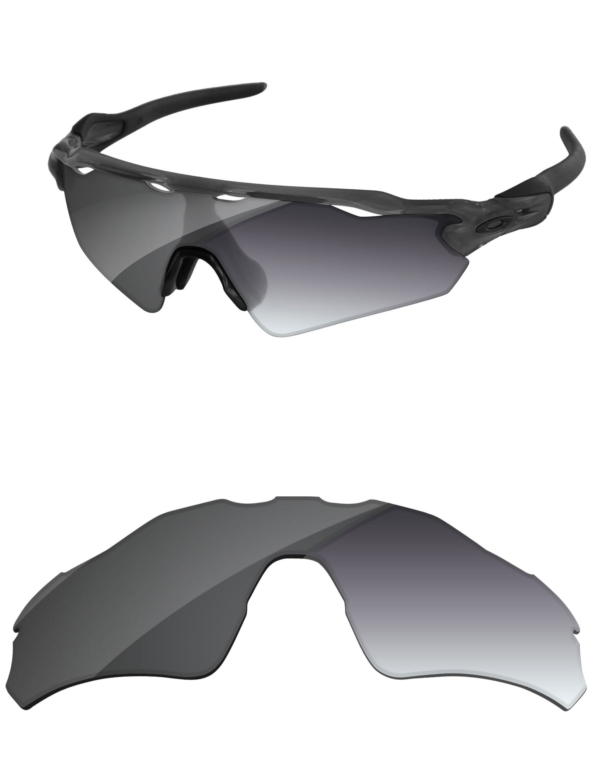 Gray Gradient Photochromic-Standard