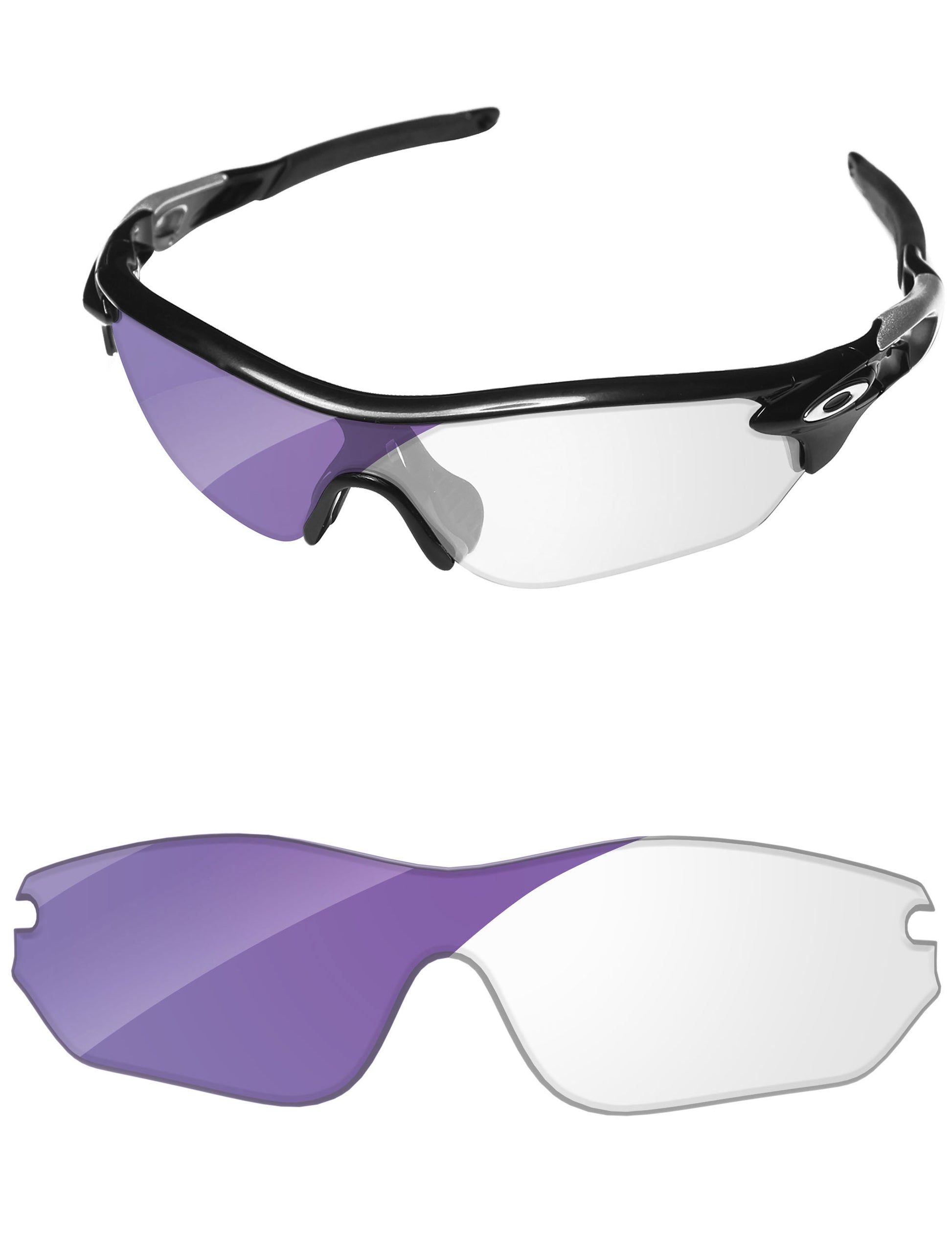 Adapt Purple Photochromic-Standard