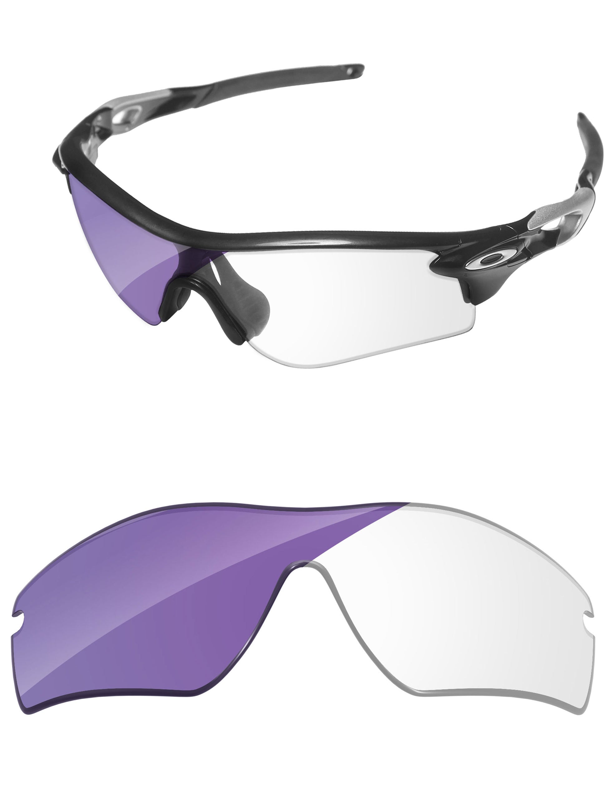 Adapt Purple Photochromic-Standard