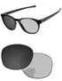 Gray Photochromic-Pro