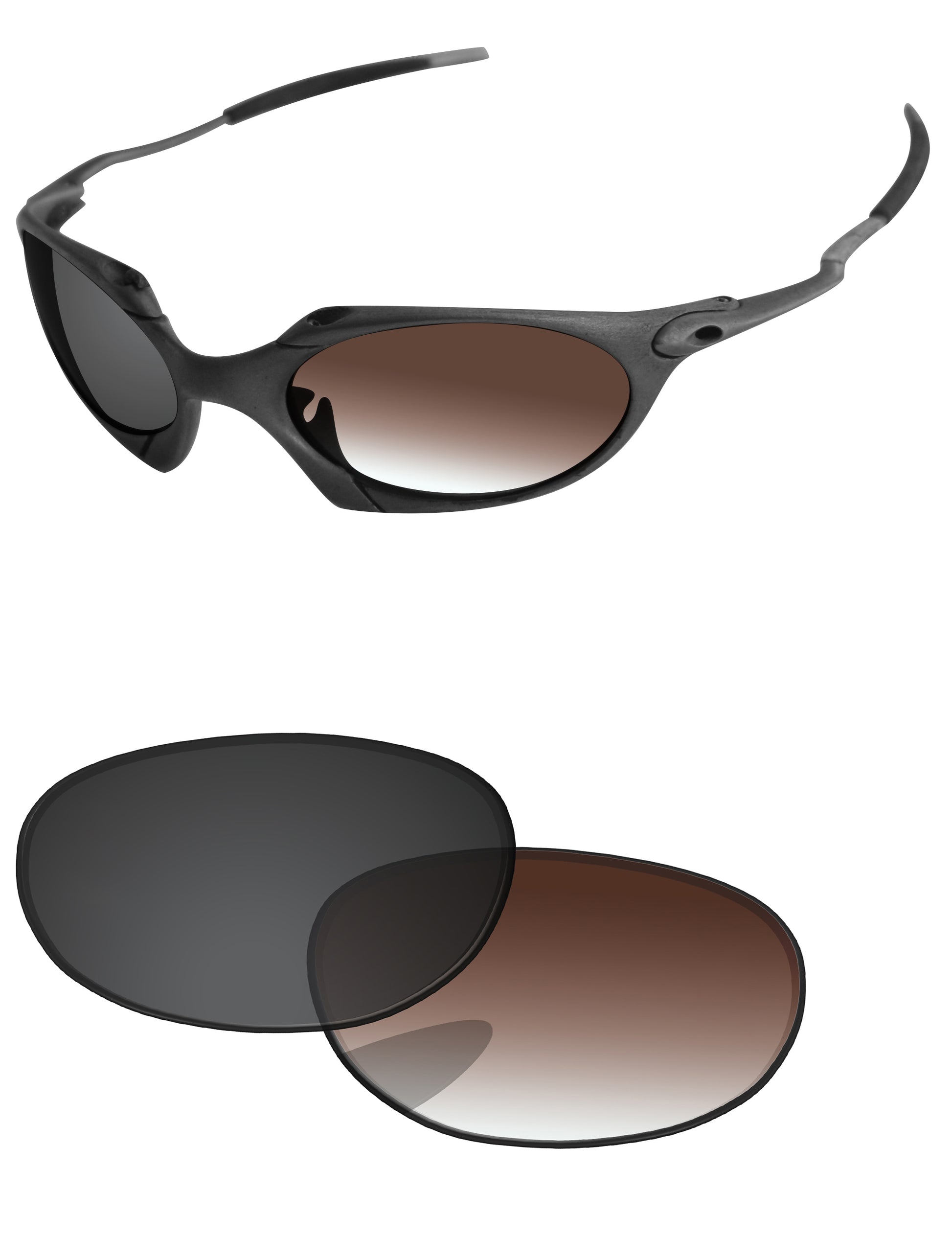 Brown Gradient Gray Photochromic-Standard