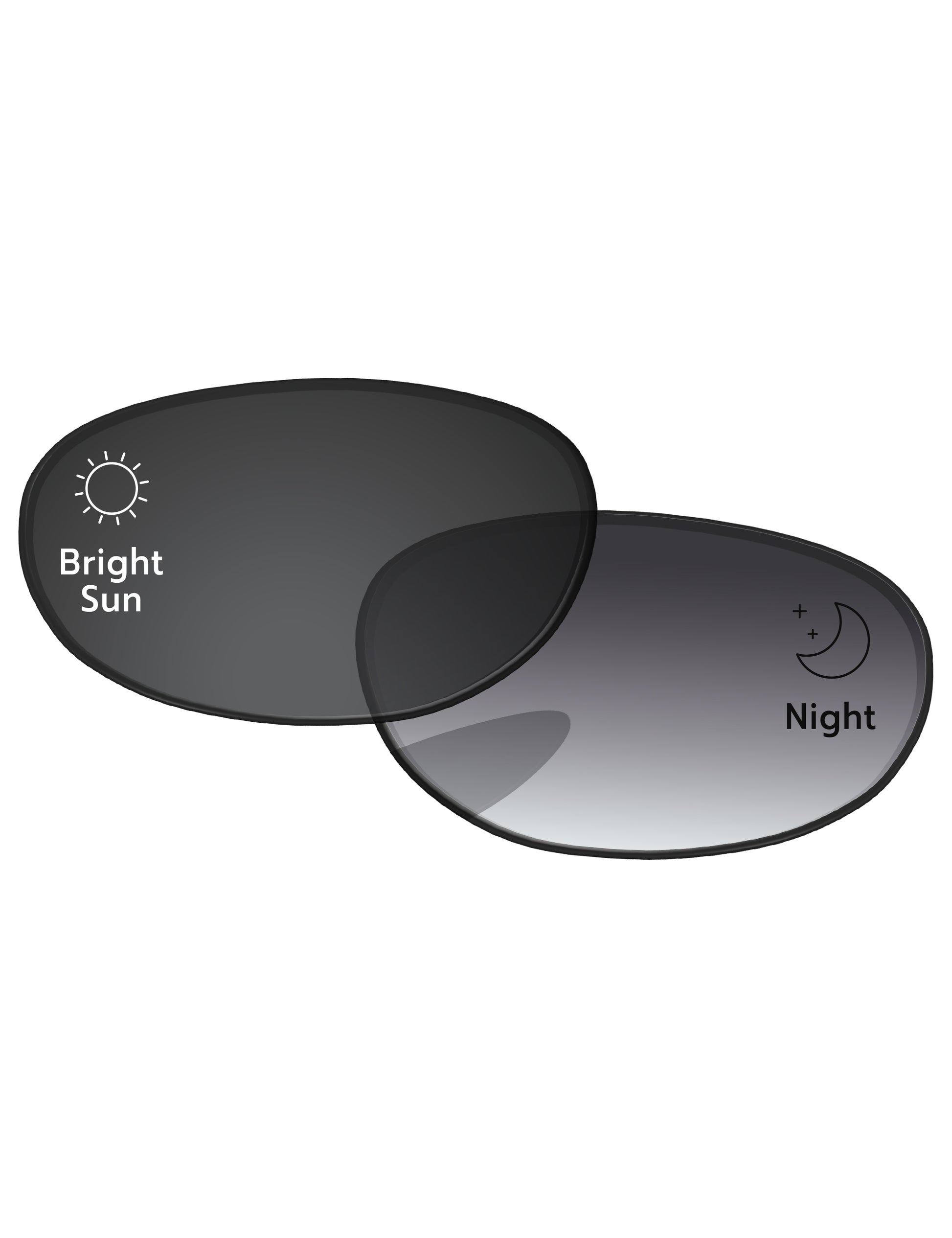 Gray Gradient Photochromic-Standard