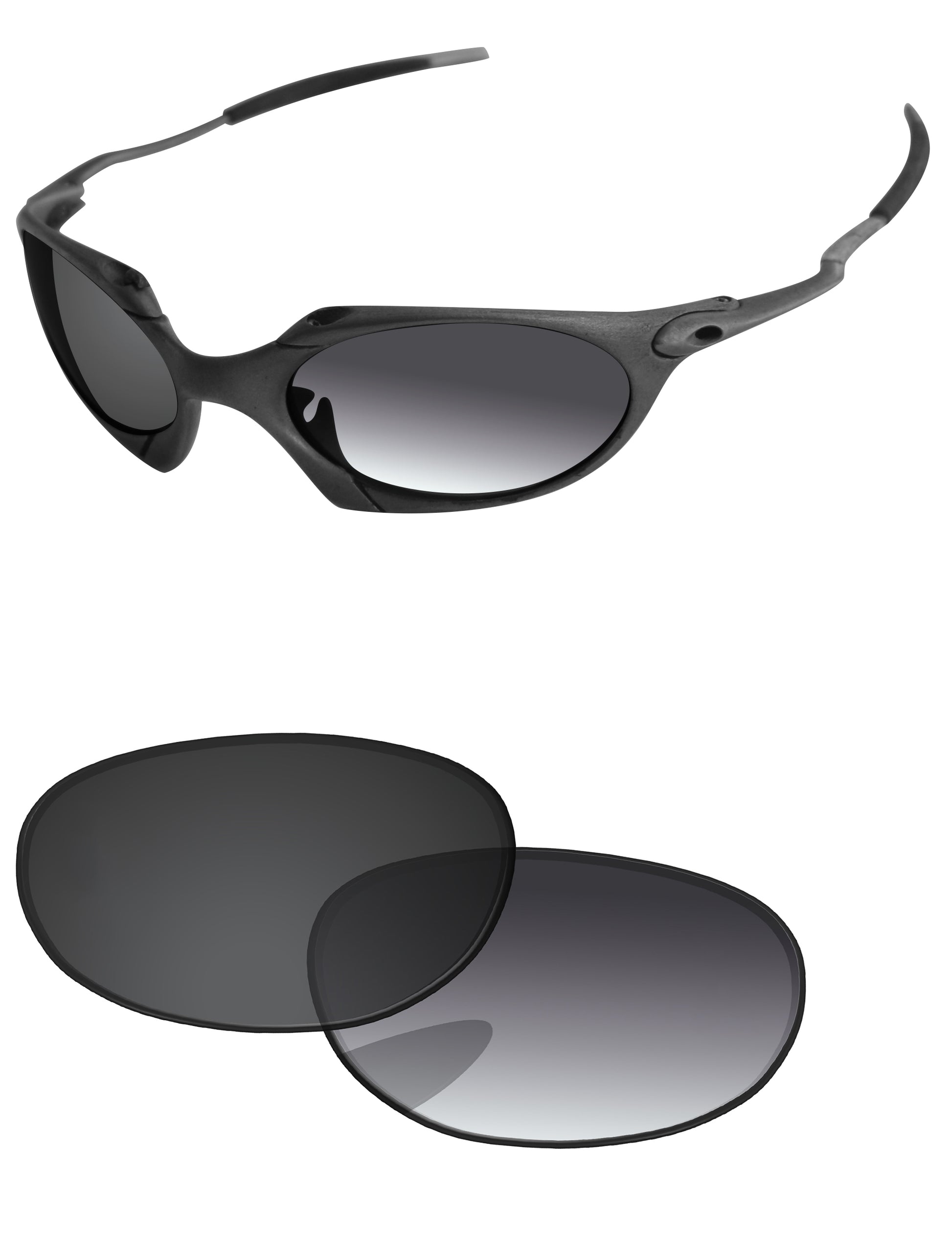 Gray Gradient Photochromic-Standard