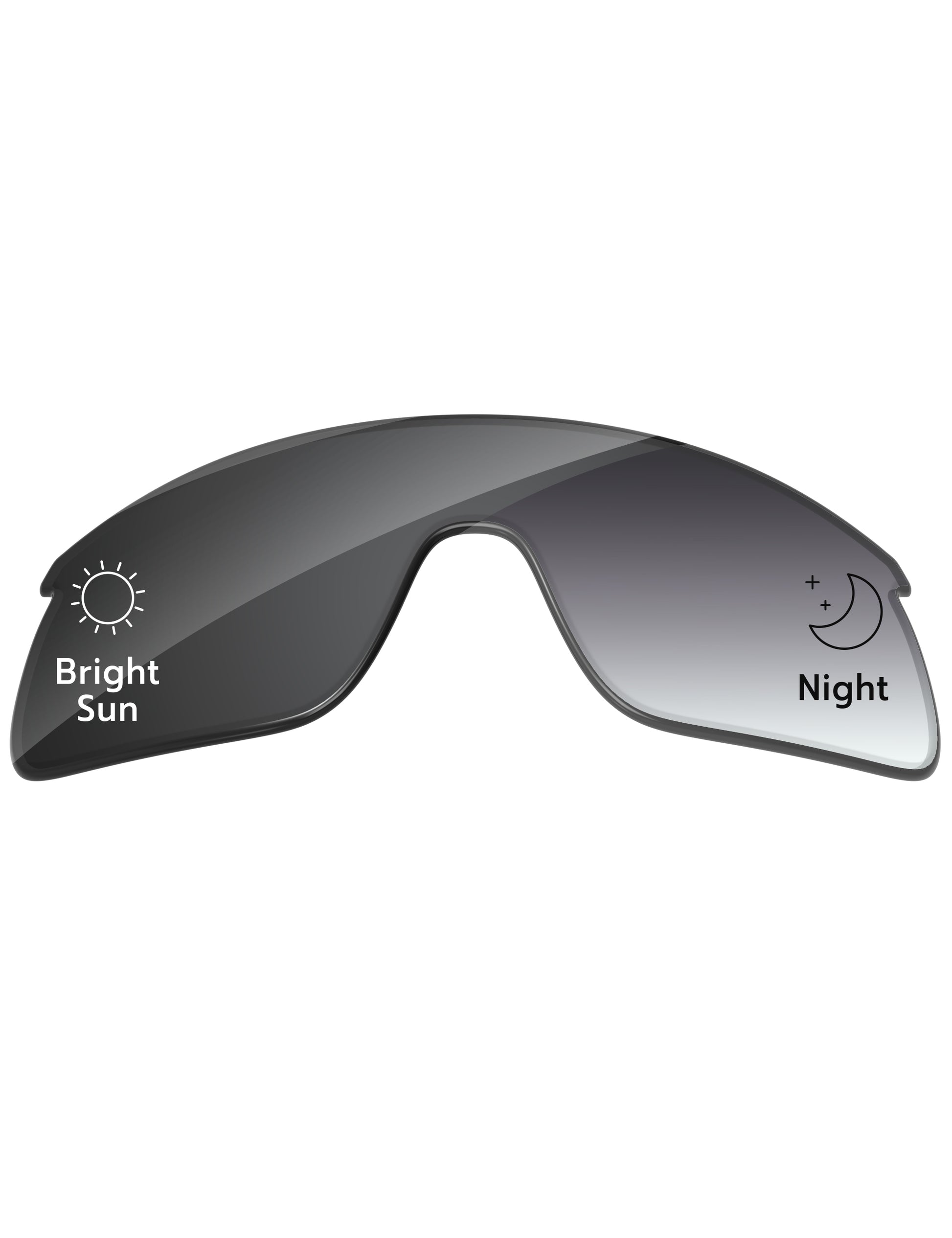 Gray Gradient Photochromic-Standard