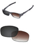 Brown Gradient Gray Photochromic-Standard