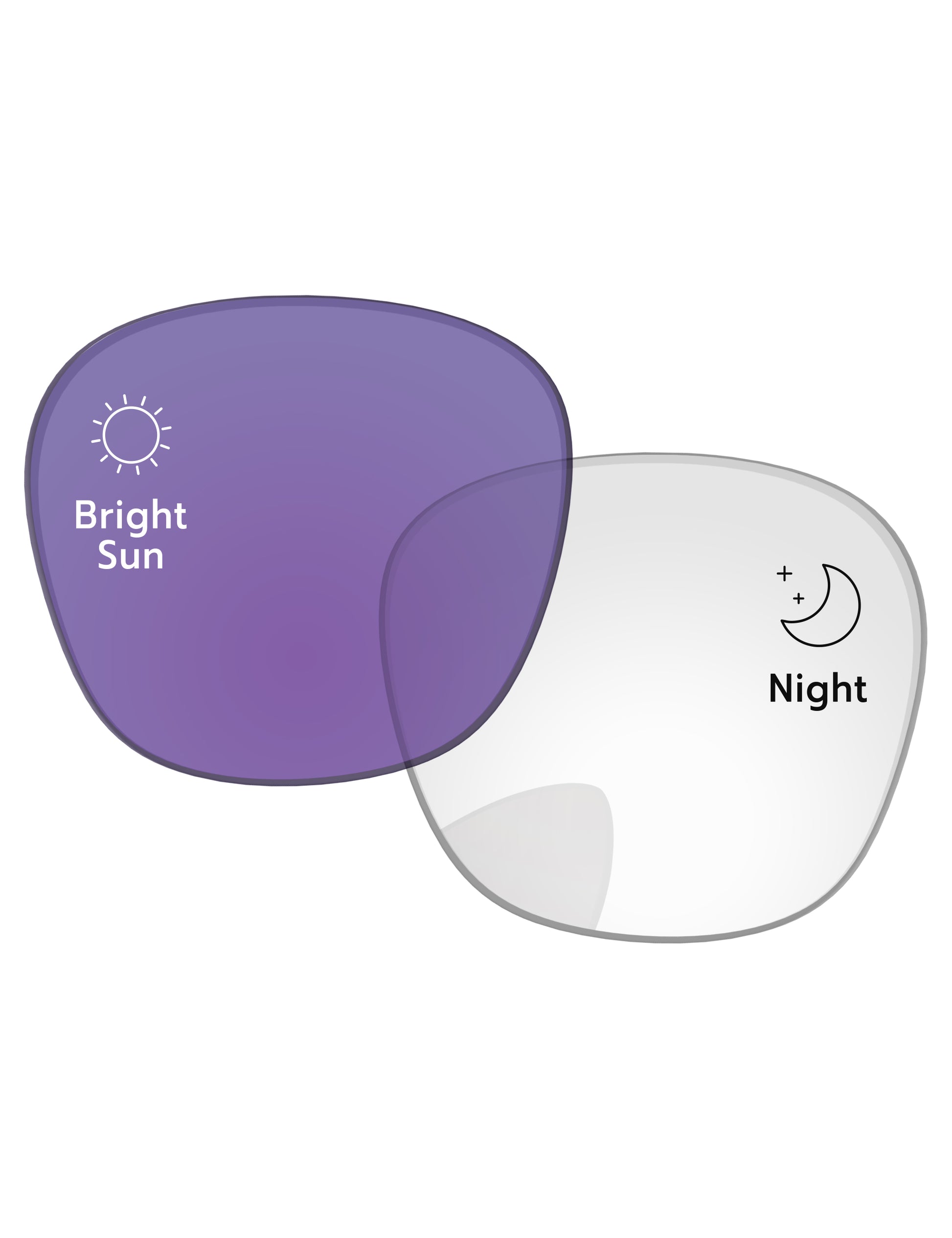 Adapt Purple Photochromic-Standard