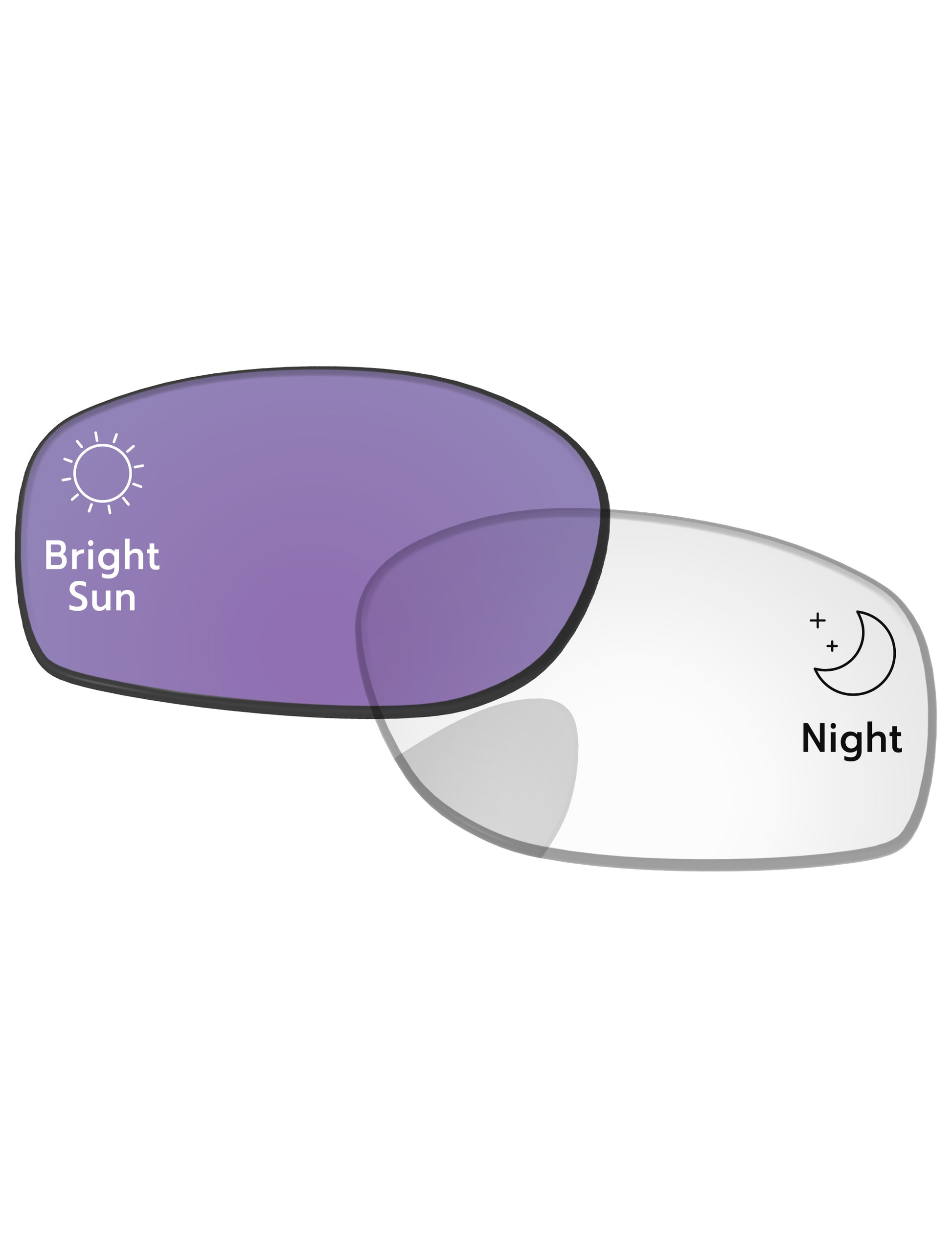 Adapt Purple Photochromic-Standard