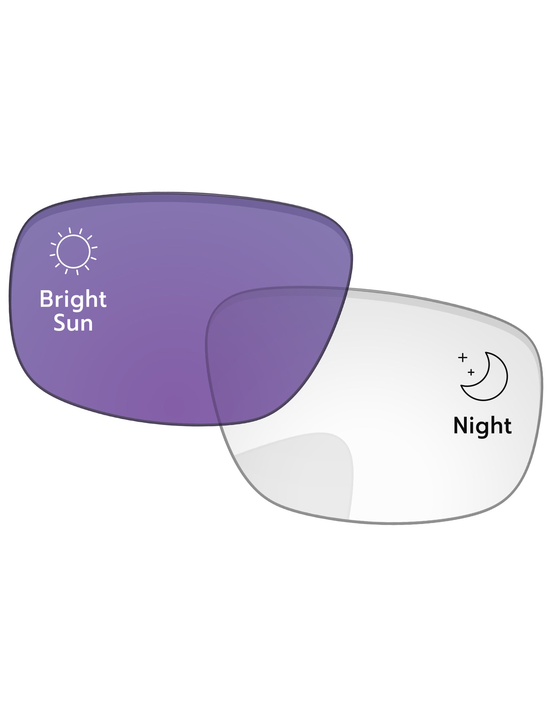 Adapt Purple Photochromic-Standard