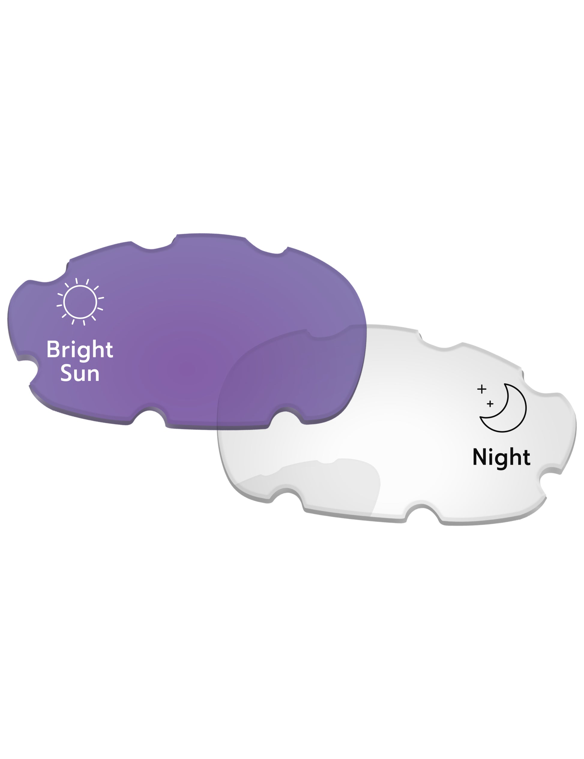 Adapt Purple Photochromic-Standard