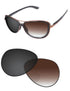 Brown Gradient Gray Photochromic-Standard