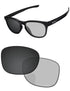 Gray Photochromic-Pro