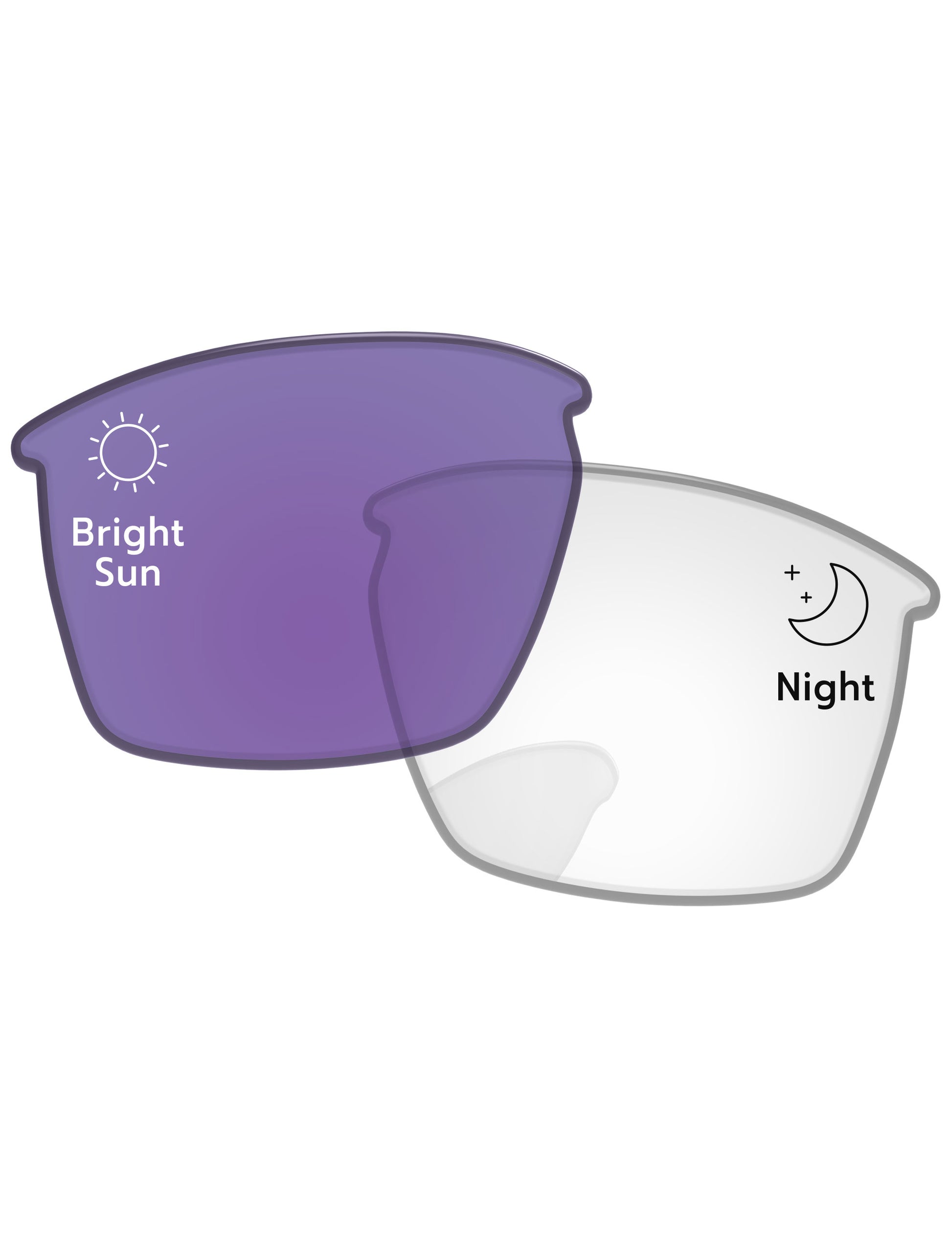 Adapt Purple Photochromic-Standard