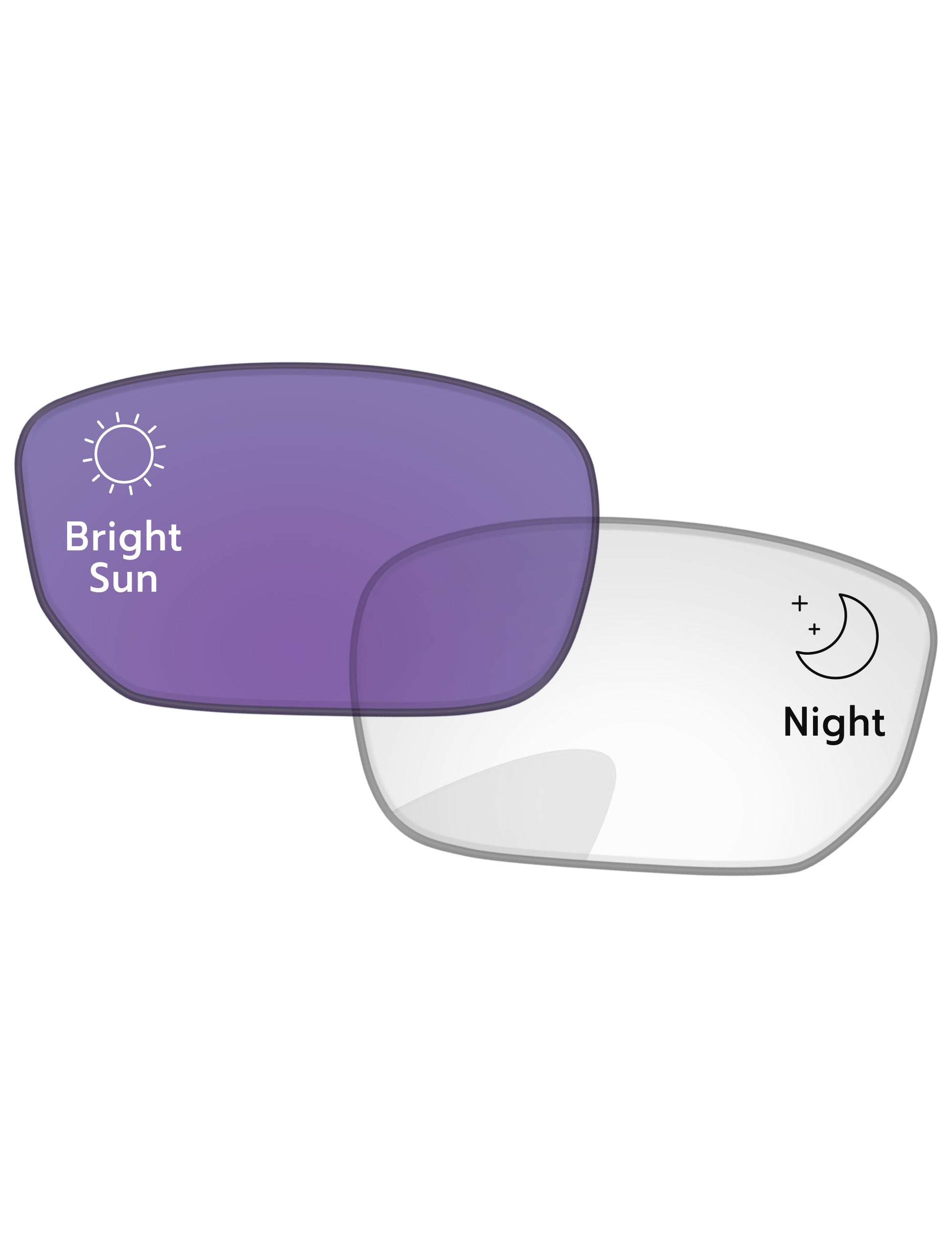 Adapt Purple Photochromic-Standard