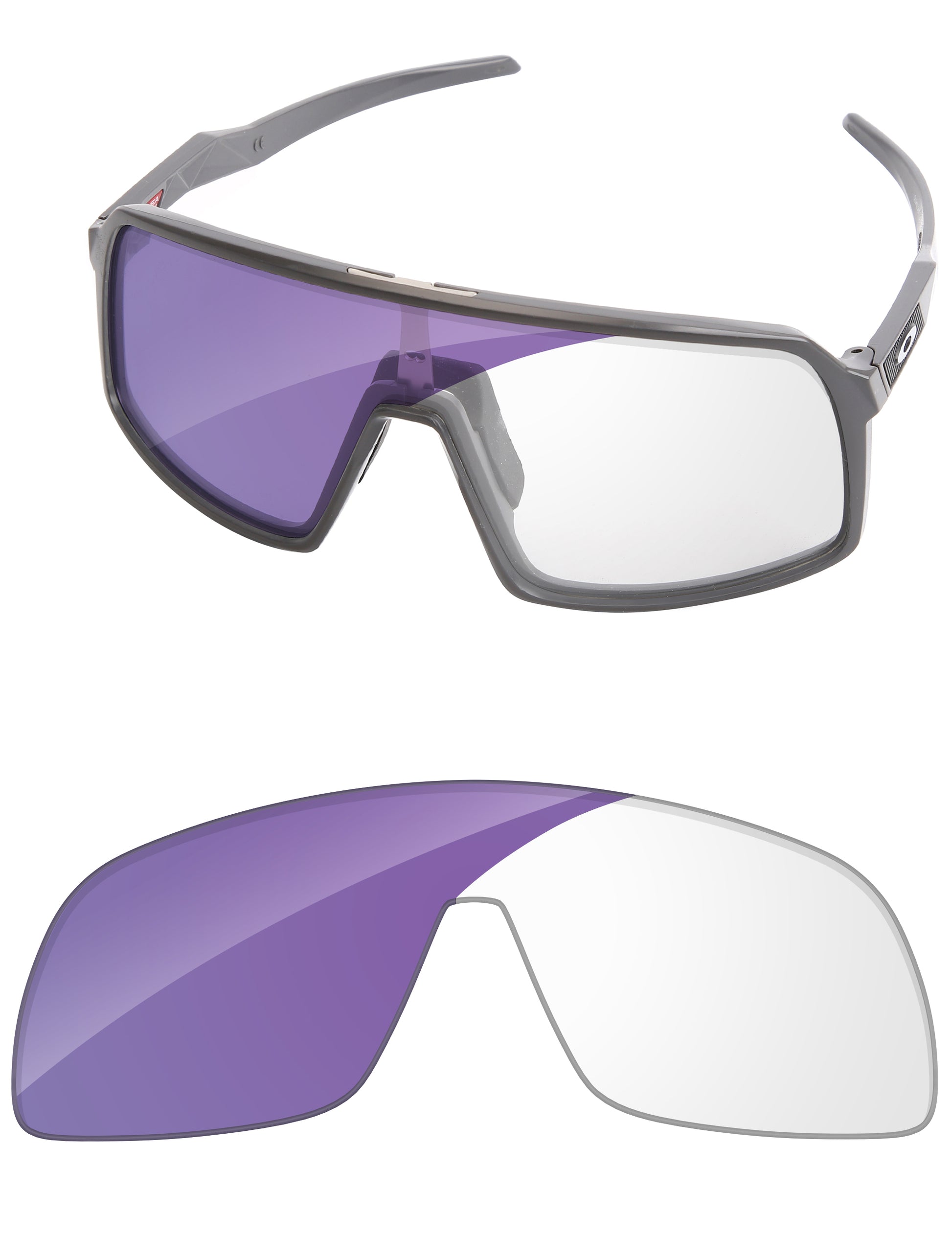 Adapt Purple Photochromic-Standard