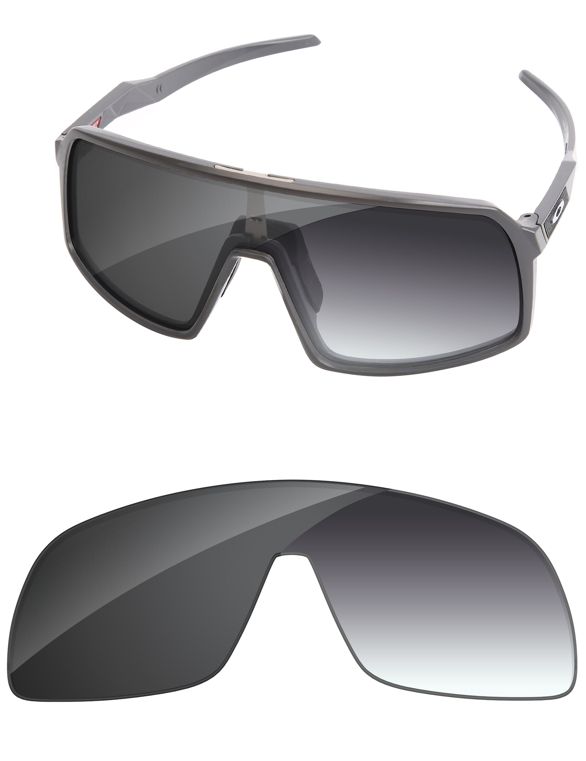 Gray Gradient Photochromic-Standard