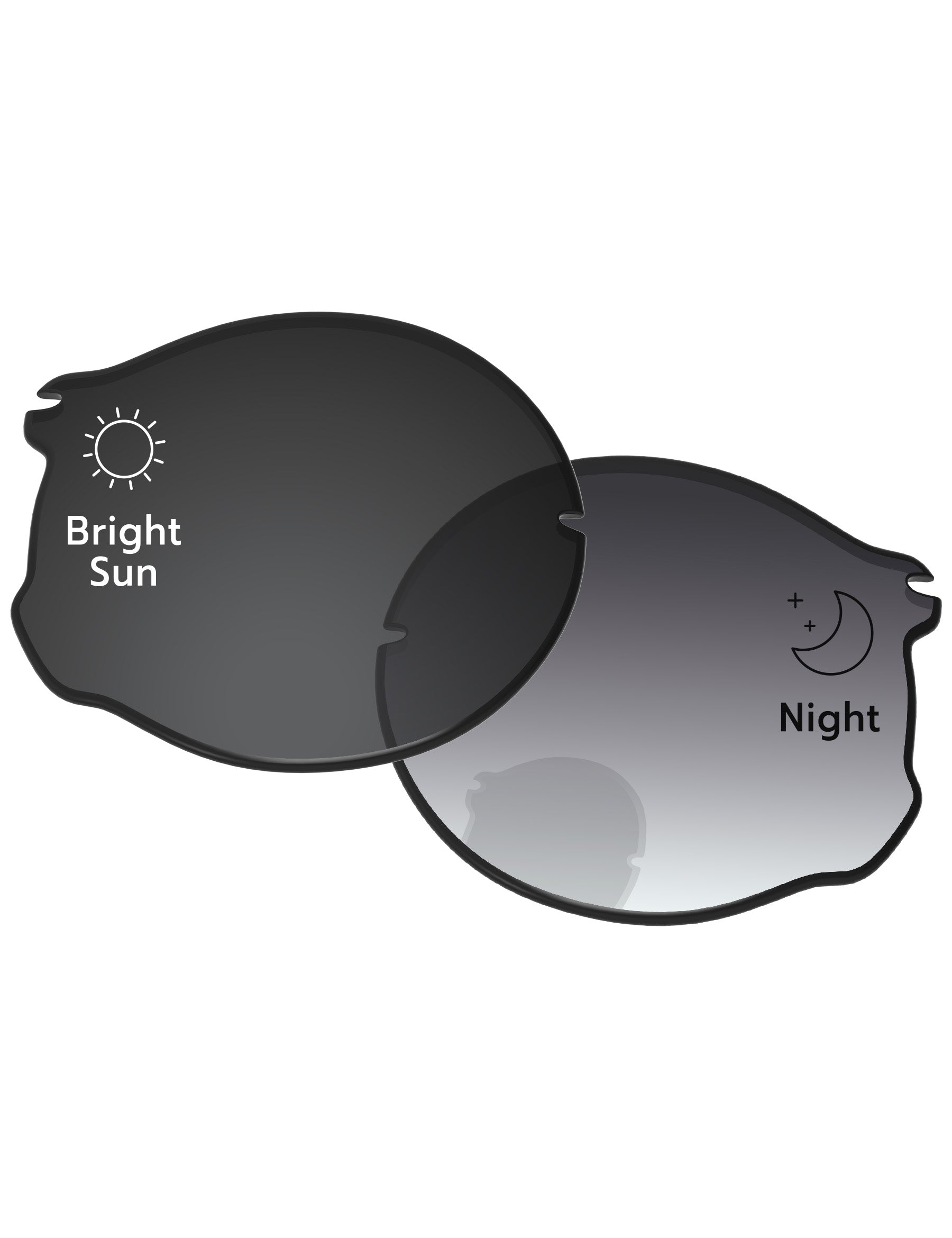 Gray Gradient Photochromic-Standard