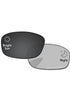 Gray Photochromic-Pro
