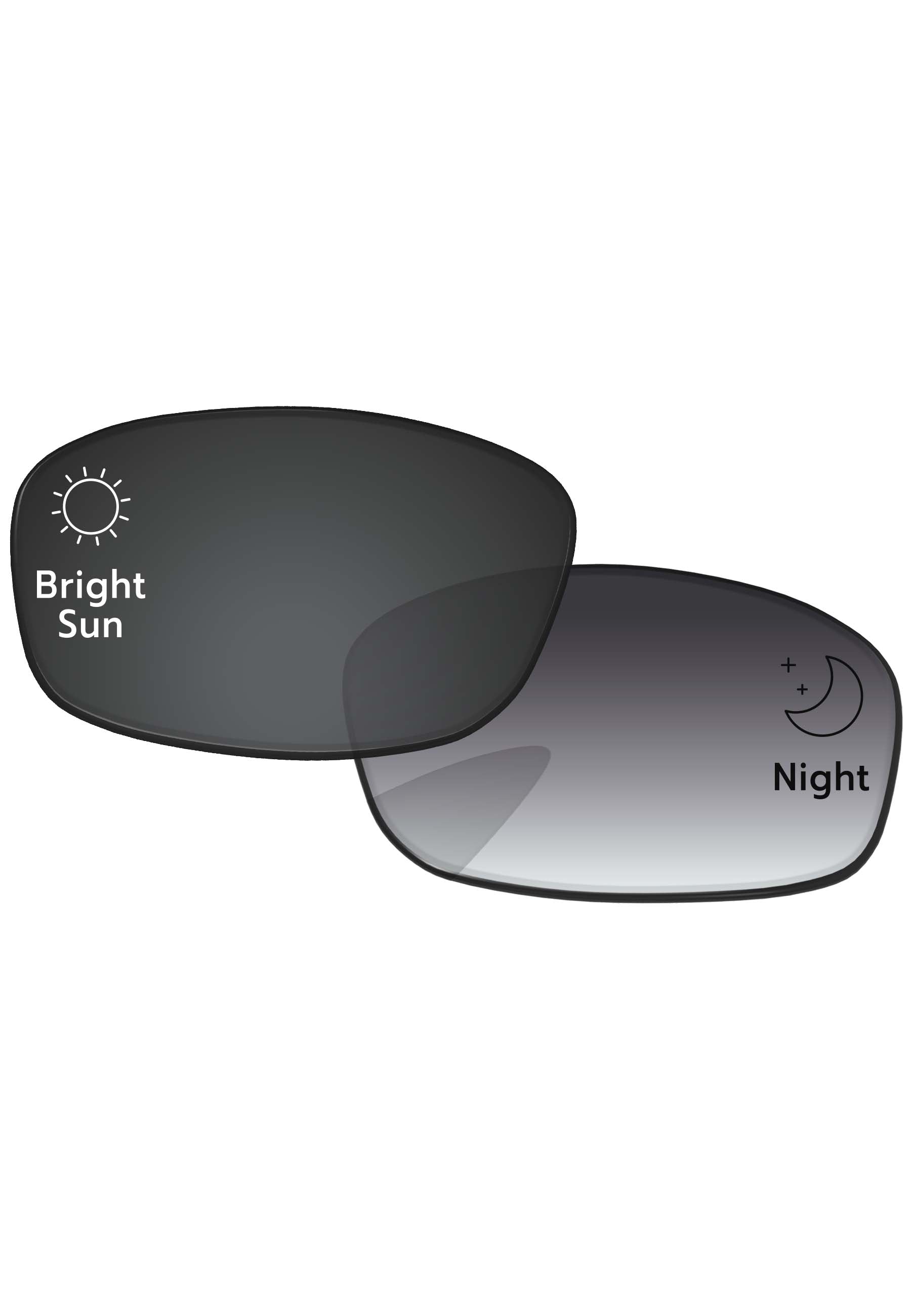 Gray Gradient Photochromic-Standard