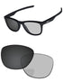 Gray Photochromic-Pro