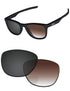 Brown Gradient Gray Photochromic-Standard